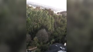 [1397 of 2462 Vids] Edwinacarlaisaac (Edwina) OnlyFans Leaks Nude Ebony