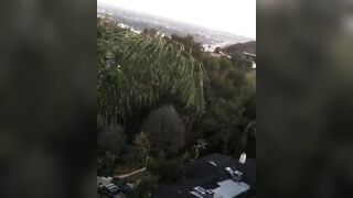 [1397 of 2462 Vids] Edwinacarlaisaac (Edwina) OnlyFans Leaks Nude Ebony