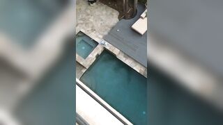 [1397 of 2462 Vids] Edwinacarlaisaac (Edwina) OnlyFans Leaks Nude Ebony