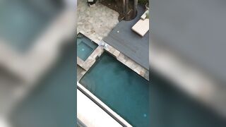 [1397 of 2462 Vids] Edwinacarlaisaac (Edwina) OnlyFans Leaks Nude Ebony