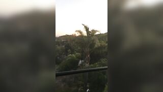 [1398 of 2462 Vids] Edwinacarlaisaac (Edwina) OnlyFans Leaks Nude Ebony