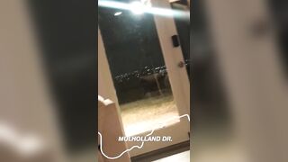 [1399 of 2462 Vids] Edwinacarlaisaac (Edwina) OnlyFans Leaks Nude Ebony