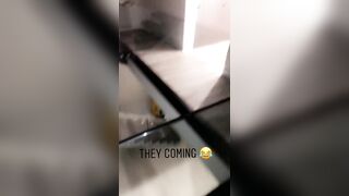 [1435 of 2462 Vids] Edwinacarlaisaac (Edwina) OnlyFans Leaks Nude Ebony