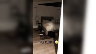 [1435 of 2462 Vids] Edwinacarlaisaac (Edwina) OnlyFans Leaks Nude Ebony