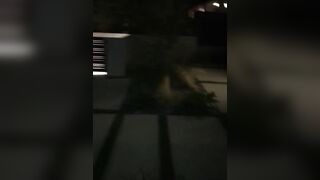 [1438 of 2462 Vids] Edwinacarlaisaac (Edwina) OnlyFans Leaks Nude Ebony