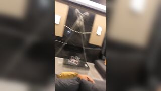 [1440 of 2462 Vids] Edwinacarlaisaac (Edwina) OnlyFans Leaks Nude Ebony