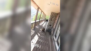 [1473 of 2462 Vids] Edwinacarlaisaac (Edwina) OnlyFans Leaks Nude Ebony