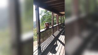 [1476 of 2462 Vids] Edwinacarlaisaac (Edwina) OnlyFans Leaks Nude Ebony