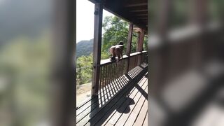 [1476 of 2462 Vids] Edwinacarlaisaac (Edwina) OnlyFans Leaks Nude Ebony