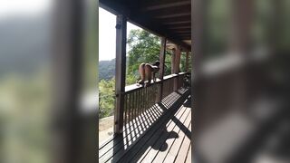 [1476 of 2462 Vids] Edwinacarlaisaac (Edwina) OnlyFans Leaks Nude Ebony