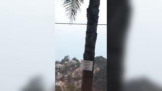 [1490 of 2462 Vids] Edwinacarlaisaac (Edwina) OnlyFans Leaks Nude Ebony