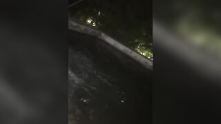 [1581 of 2462 Vids] Edwinacarlaisaac (Edwina) OnlyFans Leaks Nude Ebony