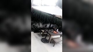 [1589 of 2462 Vids] Edwinacarlaisaac (Edwina) OnlyFans Leaks Nude Ebony