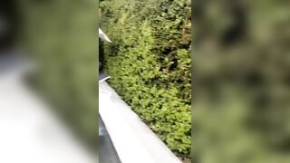 [1589 of 2462 Vids] Edwinacarlaisaac (Edwina) OnlyFans Leaks Nude Ebony