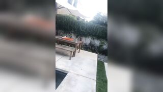 [1590 of 2462 Vids] Edwinacarlaisaac (Edwina) OnlyFans Leaks Nude Ebony