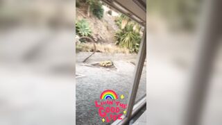 [1722 of 2462 Vids] Edwinacarlaisaac (Edwina) OnlyFans Leaks Nude Ebony