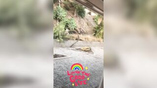 [1722 of 2462 Vids] Edwinacarlaisaac (Edwina) OnlyFans Leaks Nude Ebony