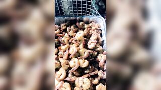 [1734 of 2462 Vids] Edwinacarlaisaac (Edwina) OnlyFans Leaks Nude Ebony