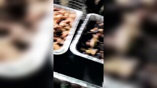 [1734 of 2462 Vids] Edwinacarlaisaac (Edwina) OnlyFans Leaks Nude Ebony