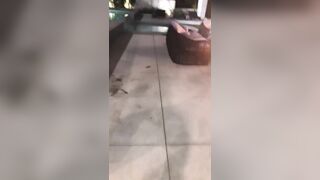 [1759 of 2462 Vids] Edwinacarlaisaac (Edwina) OnlyFans Leaks Nude Ebony