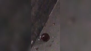 [1760 of 2462 Vids] Edwinacarlaisaac (Edwina) OnlyFans Leaks Nude Ebony