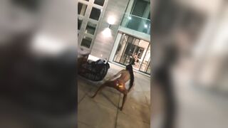 [1777 of 2462 Vids] Edwinacarlaisaac (Edwina) OnlyFans Leaks Nude Ebony