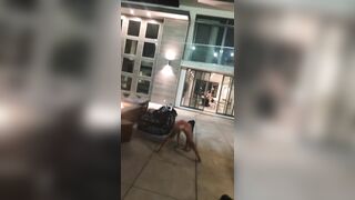 [1777 of 2462 Vids] Edwinacarlaisaac (Edwina) OnlyFans Leaks Nude Ebony