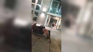 [1777 of 2462 Vids] Edwinacarlaisaac (Edwina) OnlyFans Leaks Nude Ebony