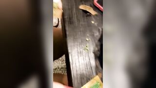 [1802 of 2462 Vids] Edwinacarlaisaac (Edwina) OnlyFans Leaks Nude Ebony