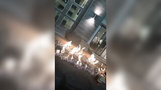 [1834 of 2462 Vids] Edwinacarlaisaac (Edwina) OnlyFans Leaks Nude Ebony