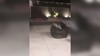 [1844 of 2462 Vids] Edwinacarlaisaac (Edwina) OnlyFans Leaks Nude Ebony