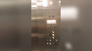 [1846 of 2462 Vids] Edwinacarlaisaac (Edwina) OnlyFans Leaks Nude Ebony