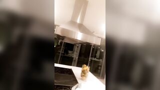 [1853 of 2462 Vids] Edwinacarlaisaac (Edwina) OnlyFans Leaks Nude Ebony