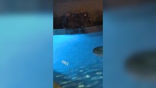 [1880 of 2462 Vids] Edwinacarlaisaac (Edwina) OnlyFans Leaks Nude Ebony