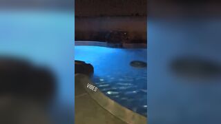 [1880 of 2462 Vids] Edwinacarlaisaac (Edwina) OnlyFans Leaks Nude Ebony