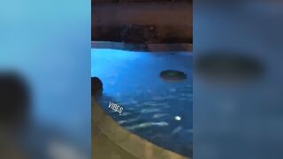 [1880 of 2462 Vids] Edwinacarlaisaac (Edwina) OnlyFans Leaks Nude Ebony