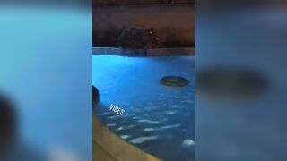 [1880 of 2462 Vids] Edwinacarlaisaac (Edwina) OnlyFans Leaks Nude Ebony