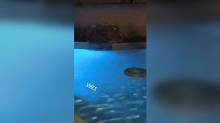 [1880 of 2462 Vids] Edwinacarlaisaac (Edwina) OnlyFans Leaks Nude Ebony