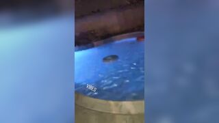 [1880 of 2462 Vids] Edwinacarlaisaac (Edwina) OnlyFans Leaks Nude Ebony