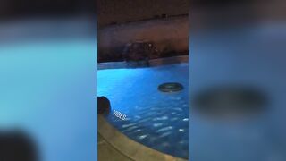 [1880 of 2462 Vids] Edwinacarlaisaac (Edwina) OnlyFans Leaks Nude Ebony