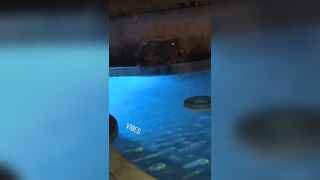 [1880 of 2462 Vids] Edwinacarlaisaac (Edwina) OnlyFans Leaks Nude Ebony