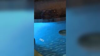 [1880 of 2462 Vids] Edwinacarlaisaac (Edwina) OnlyFans Leaks Nude Ebony