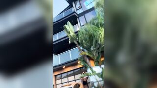 [1887 of 2462 Vids] Edwinacarlaisaac (Edwina) OnlyFans Leaks Nude Ebony