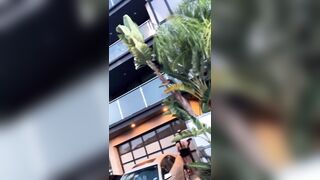 [1887 of 2462 Vids] Edwinacarlaisaac (Edwina) OnlyFans Leaks Nude Ebony