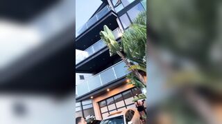 [1887 of 2462 Vids] Edwinacarlaisaac (Edwina) OnlyFans Leaks Nude Ebony