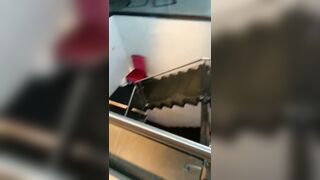 [1888 of 2462 Vids] Edwinacarlaisaac (Edwina) OnlyFans Leaks Nude Ebony