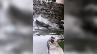 [19 of 2462 Vids] Edwinacarlaisaac (Edwina) OnlyFans Leaks Nude Ebony