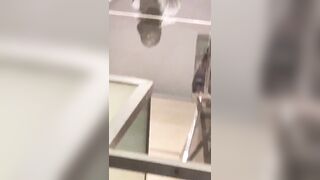 [1923 of 2462 Vids] Edwinacarlaisaac (Edwina) OnlyFans Leaks Nude Ebony