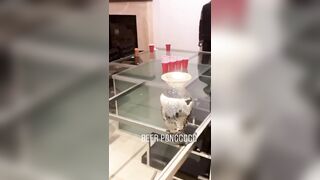 [1924 of 2462 Vids] Edwinacarlaisaac (Edwina) OnlyFans Leaks Nude Ebony