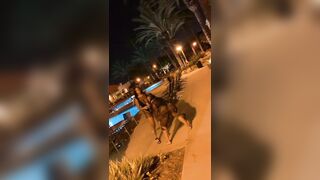 [1935 of 2462 Vids] Edwinacarlaisaac (Edwina) OnlyFans Leaks Nude Ebony